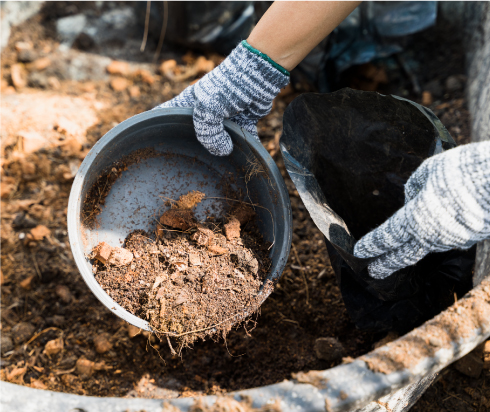 Servicios de Práctica para Tratamiento de Tierras